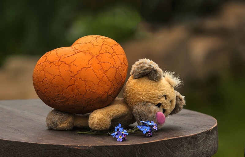 Teddy Bear with Heart — Brown