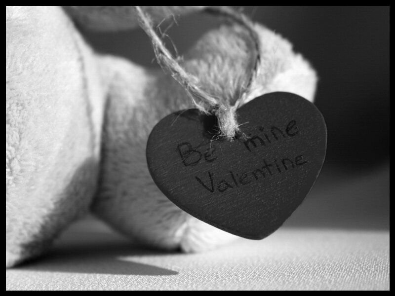Teddy Bear with Heart Tag