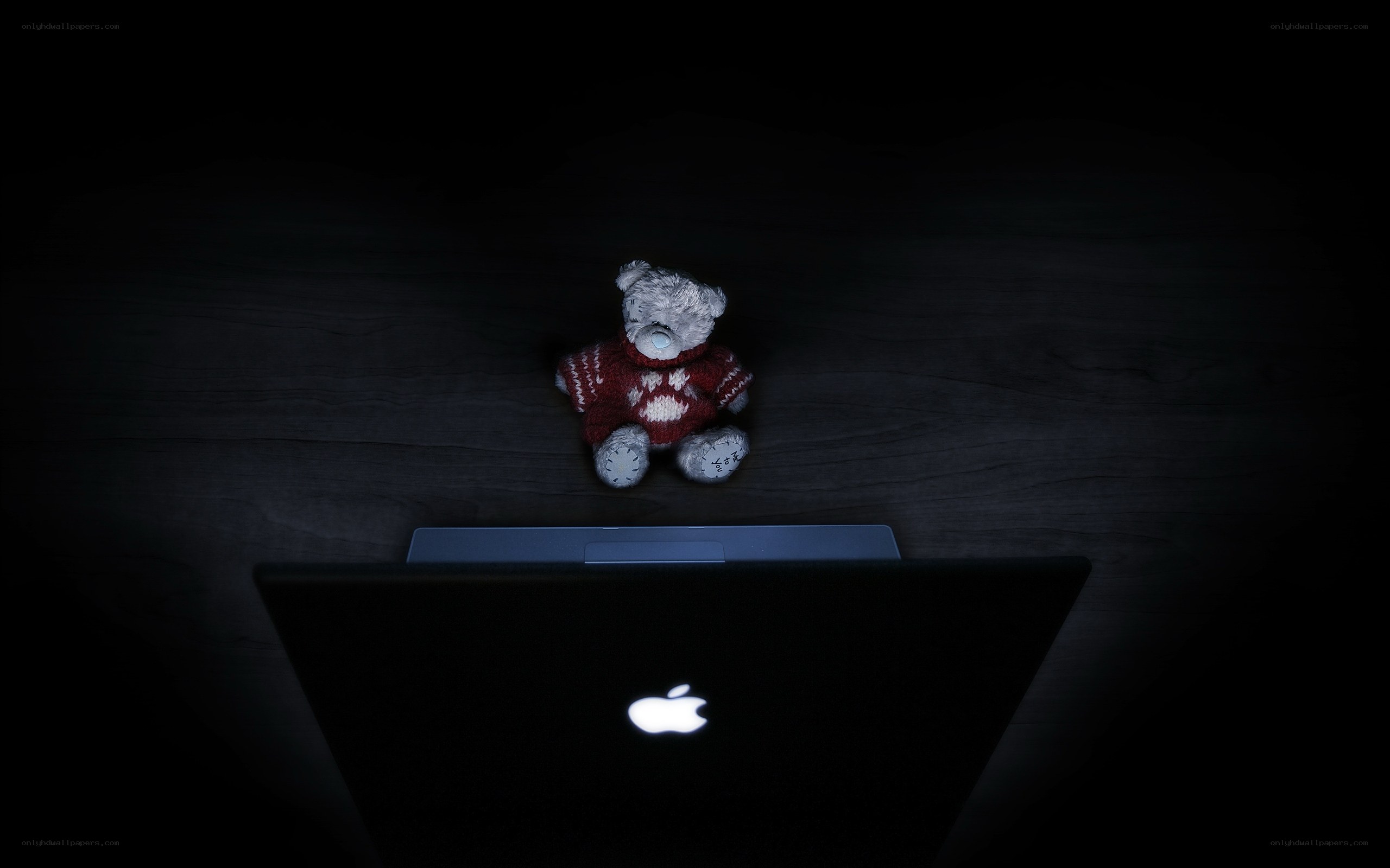 teddy bear with laptop