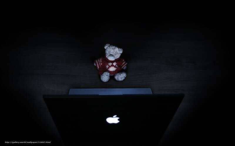 teddy bear with laptop