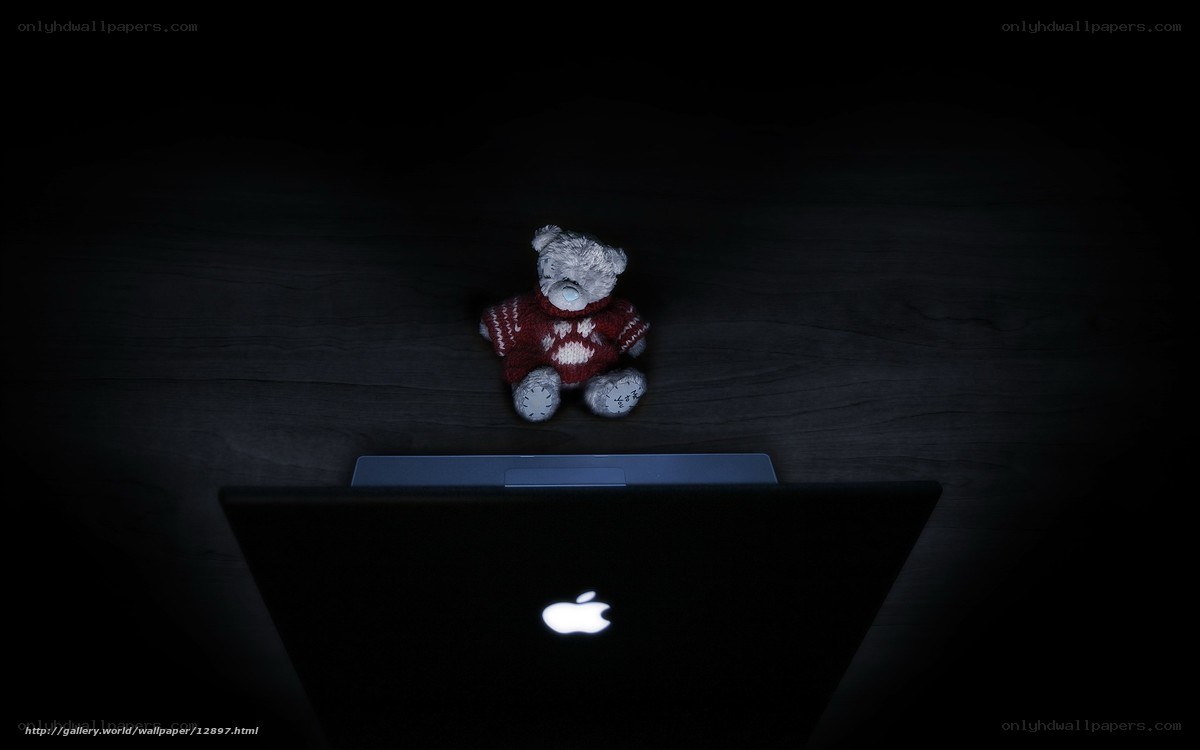 teddy bear with laptop