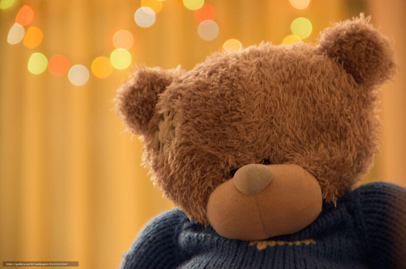 teddy bear with lights