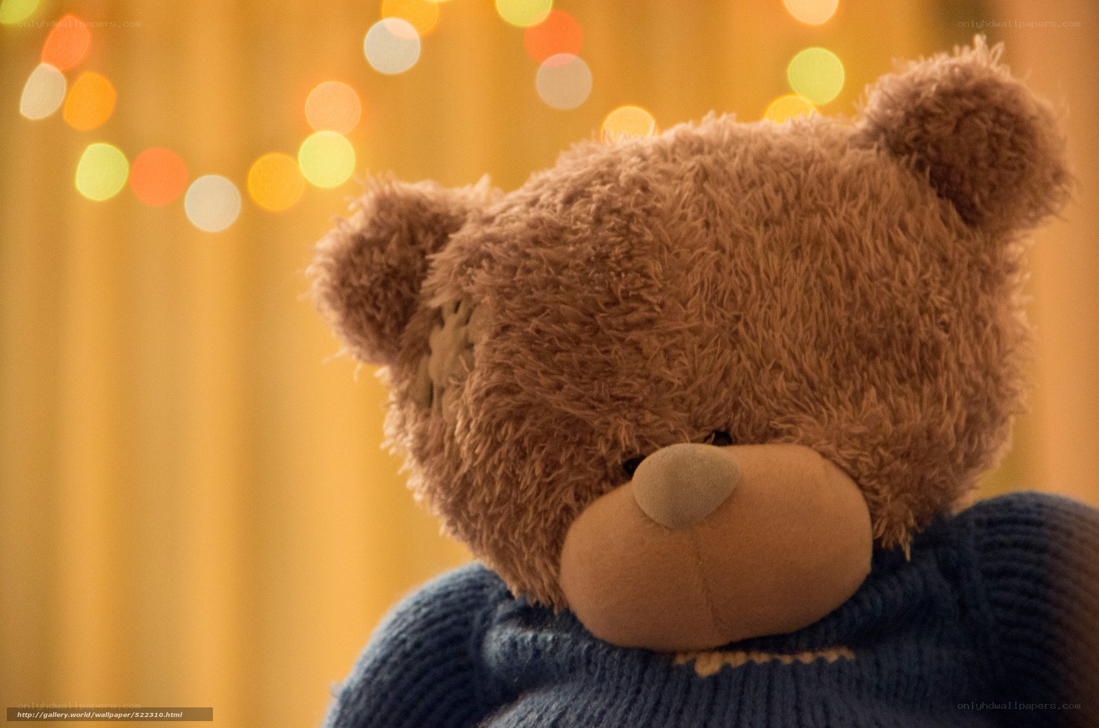 teddy bear with lights