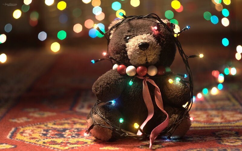 teddy bear with lights