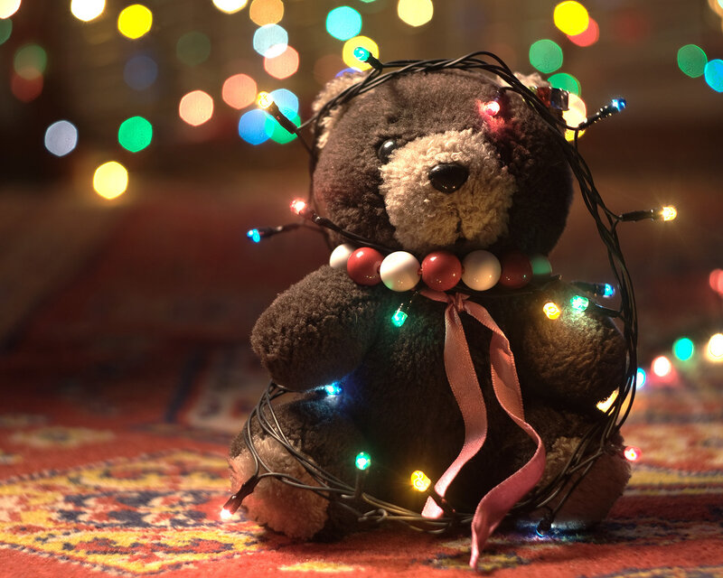 Teddy Bear with Lights — Brown, Festive