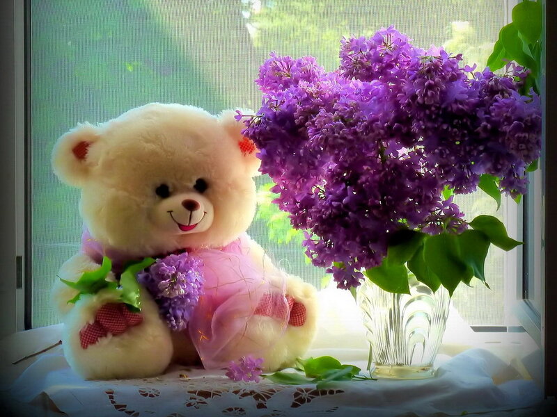 Teddy Bear with Lilacs
