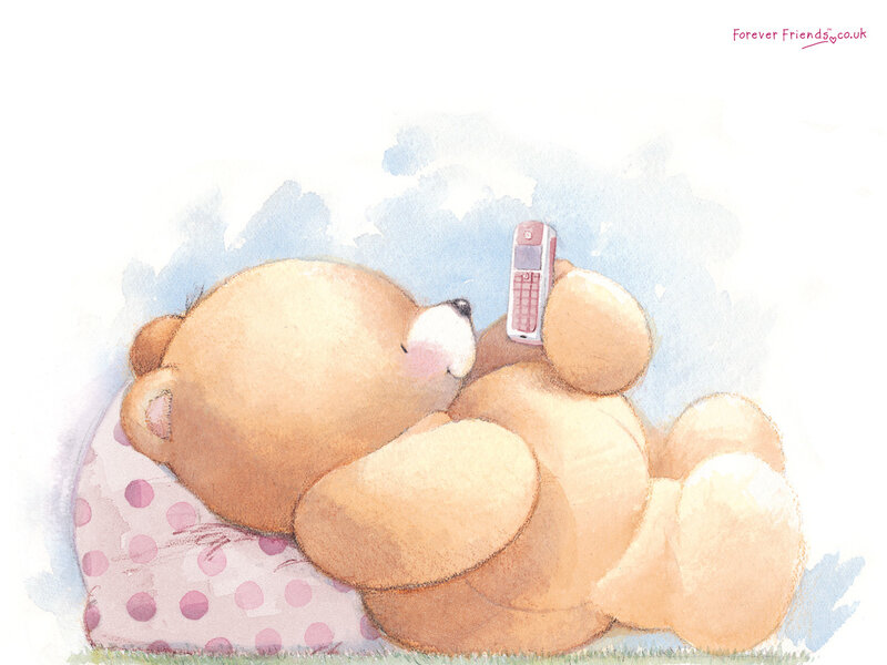 Teddy bear with phone