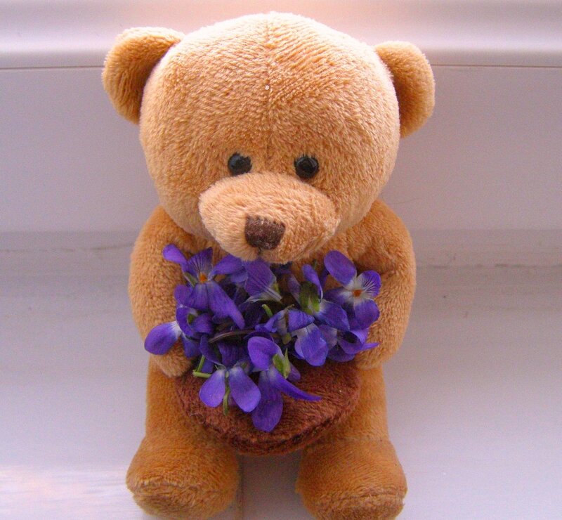 teddy bear with purple flowers
