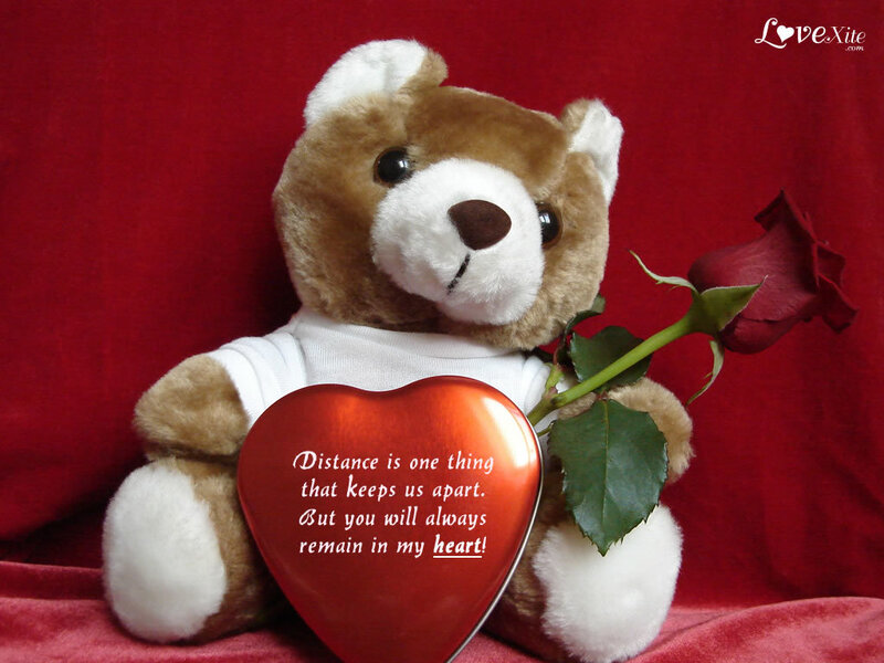 teddy bear with rose and heart