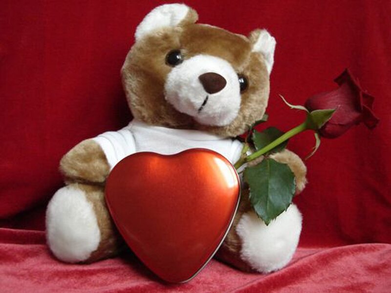 Teddy Bear with Rose — Red