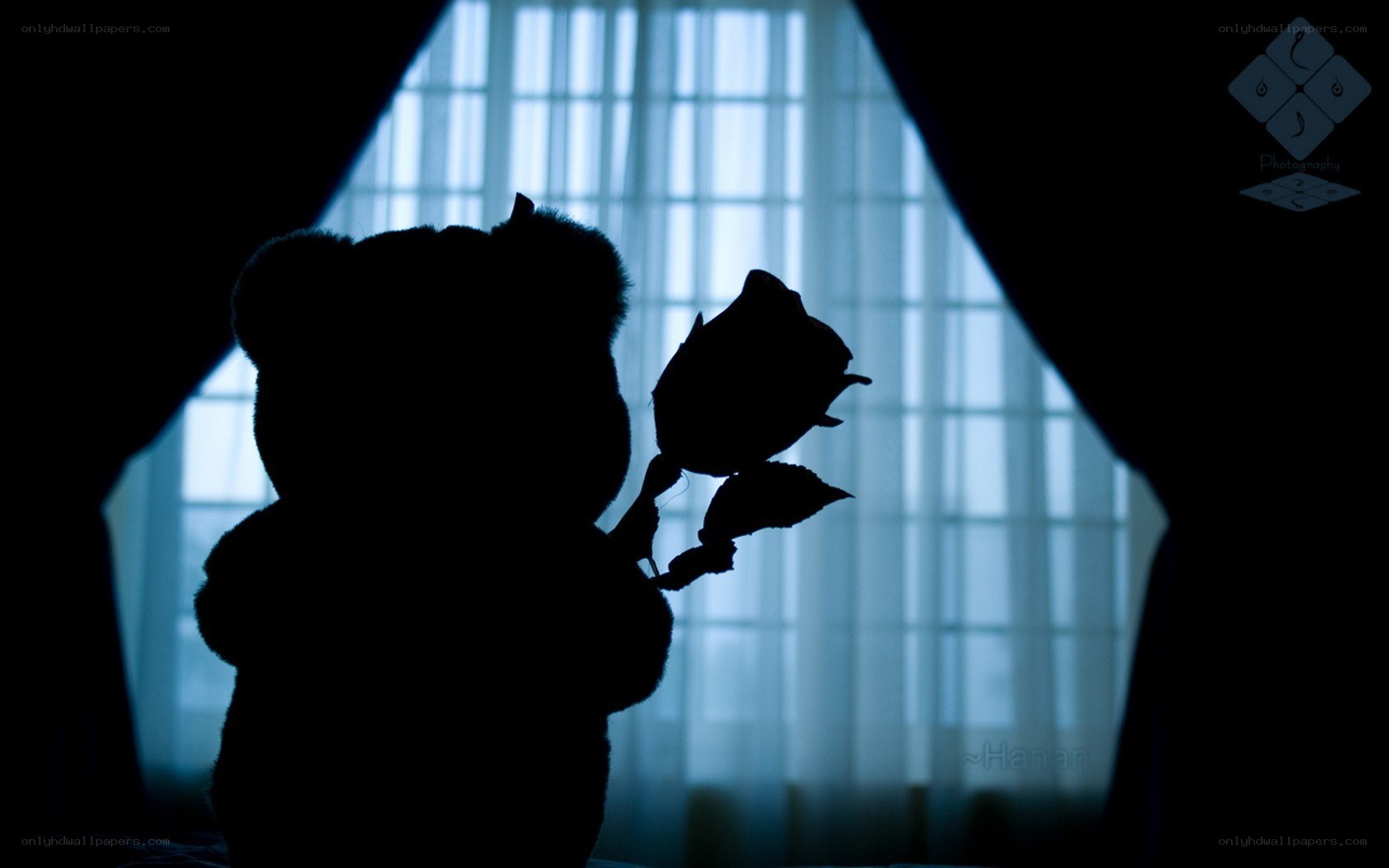 Teddy bear with rose silhouette