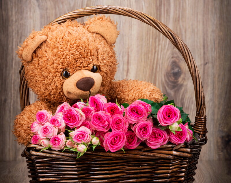 Teddy Bear with Roses — Brown, Calm, Photograph, Basket