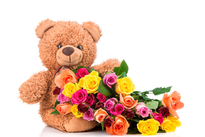 Teddy Bear with Roses — Brown, Calm, Photograph, Bow Tie