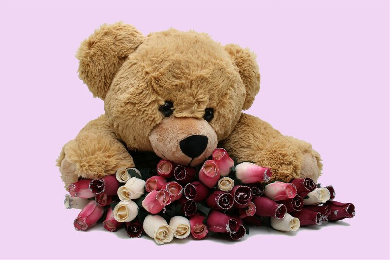 Teddy Bear with Roses — Brown, Calm, Photograph