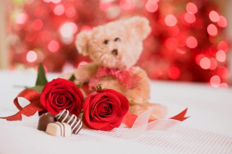 Teddy Bear with Roses — Red