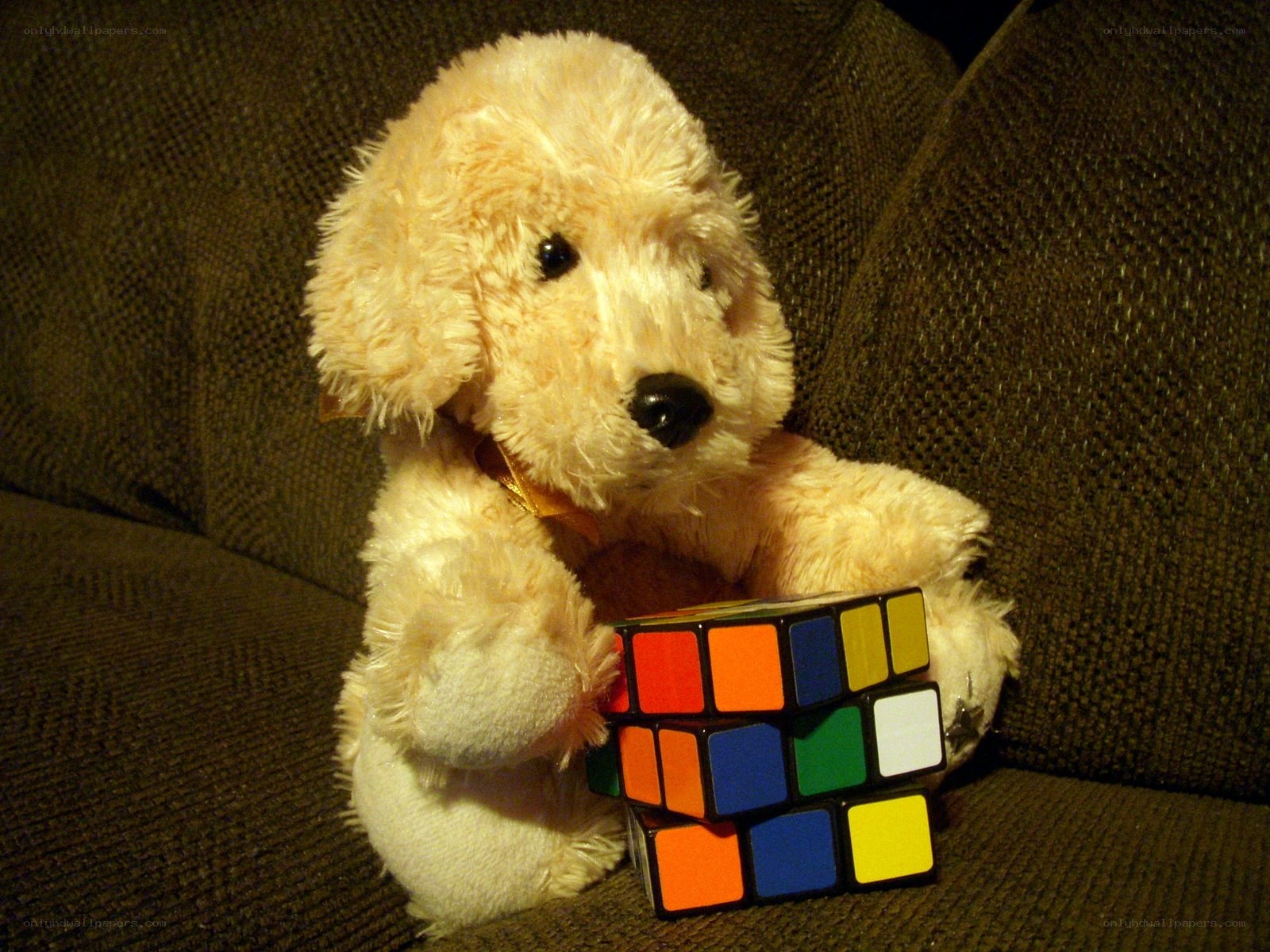 Teddy bear with Rubik's cube