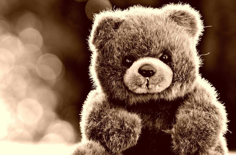 teddy bear with soft focus