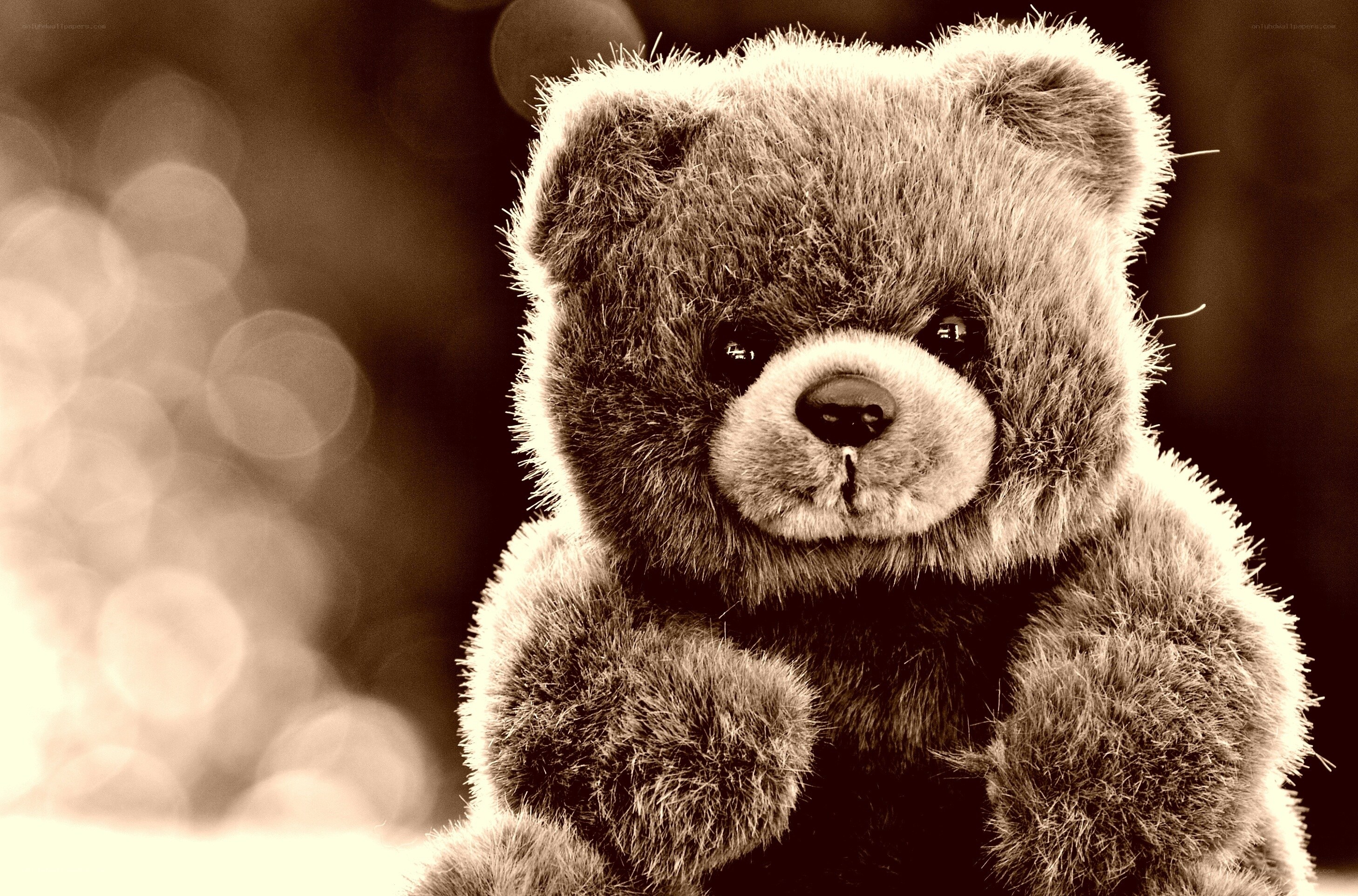 teddy bear with soft focus