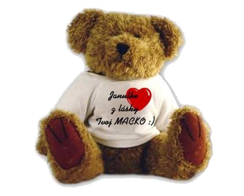 teddy bear with t-shirt