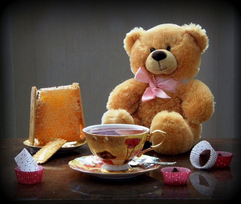 Teddy Bear with Tea Set — Brown