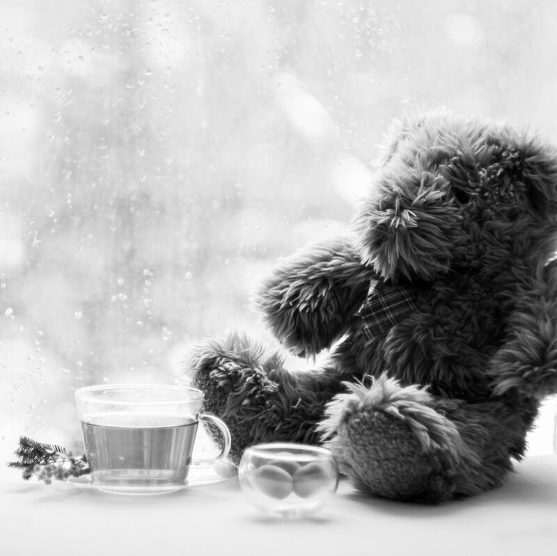 Teddy Bear with Tea