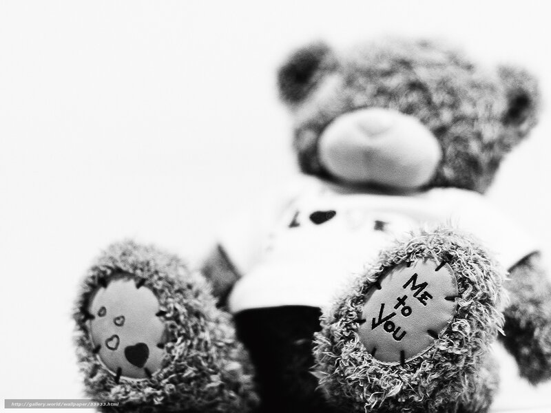 Teddy Bear with Text — Black