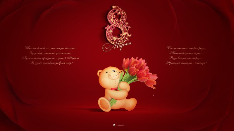 Teddy bear with tulips