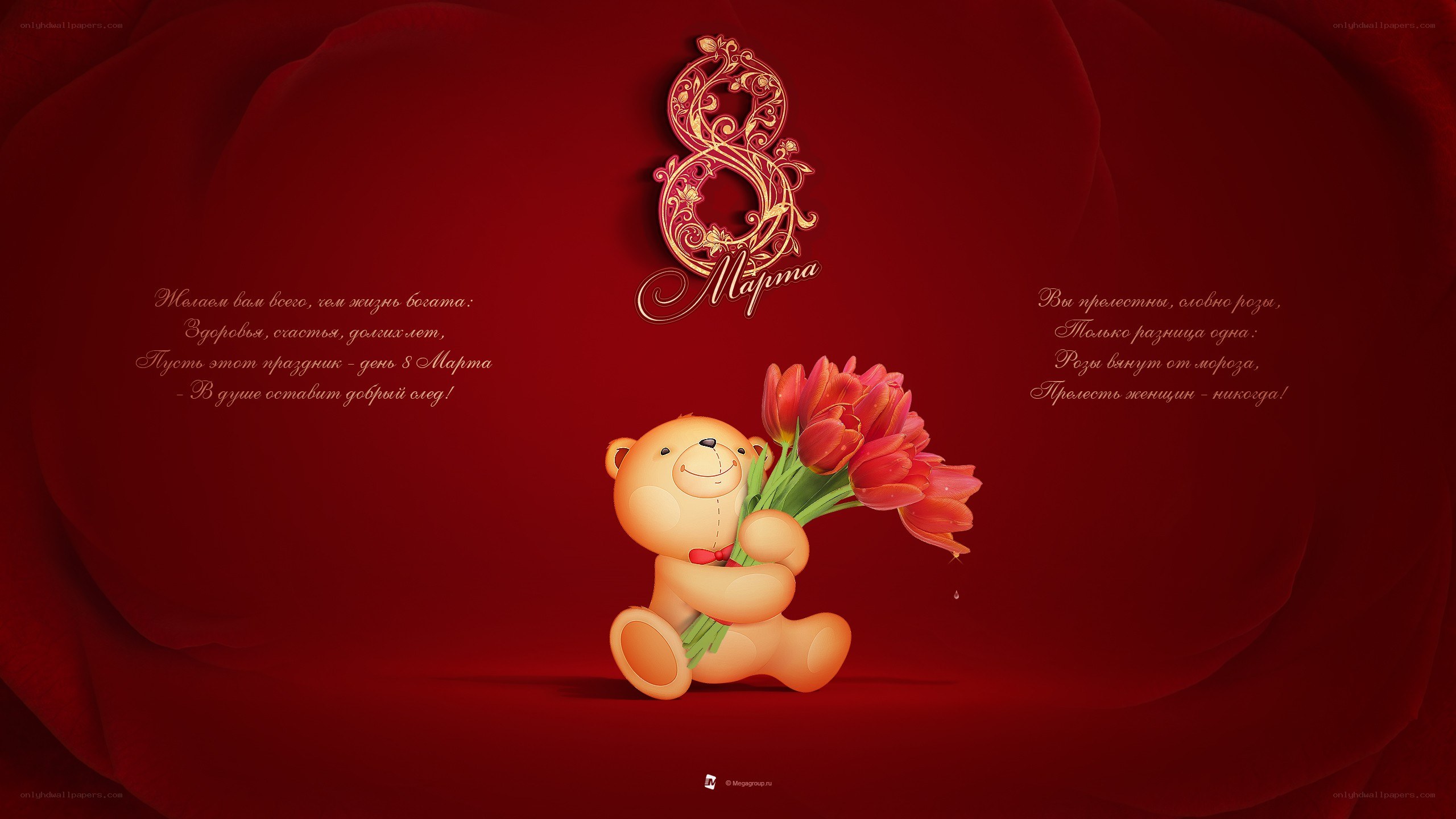 Teddy bear with tulips