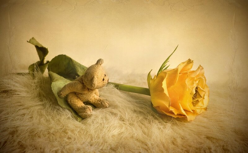 Teddy bear with yellow rose