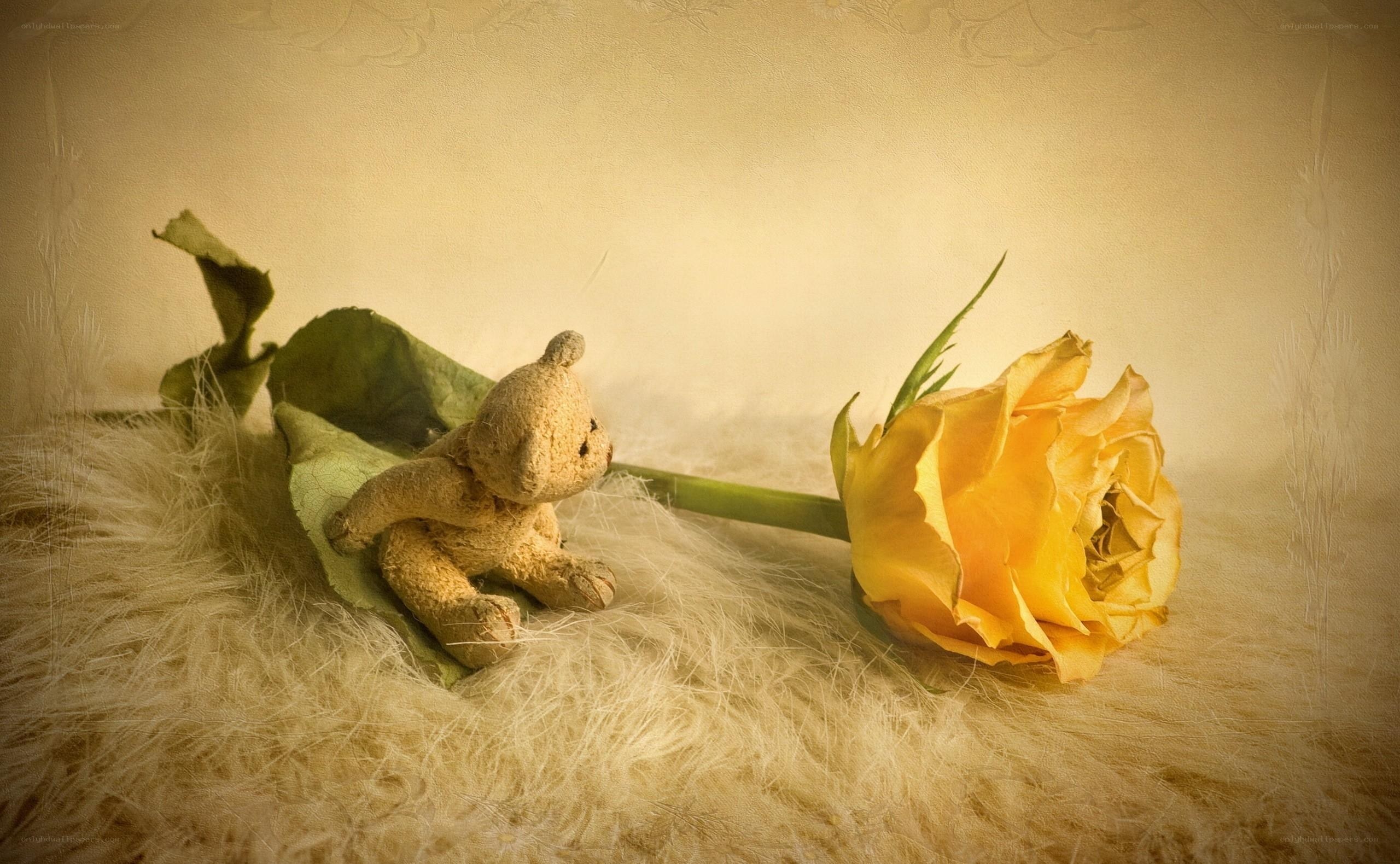 Teddy bear with yellow rose