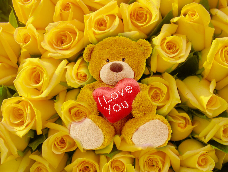 Teddy bear with yellow roses