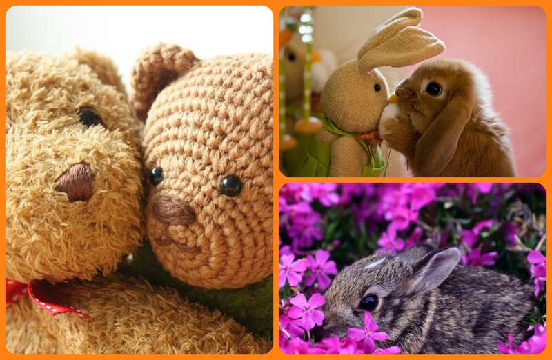 Teddy Bears and Bunnies