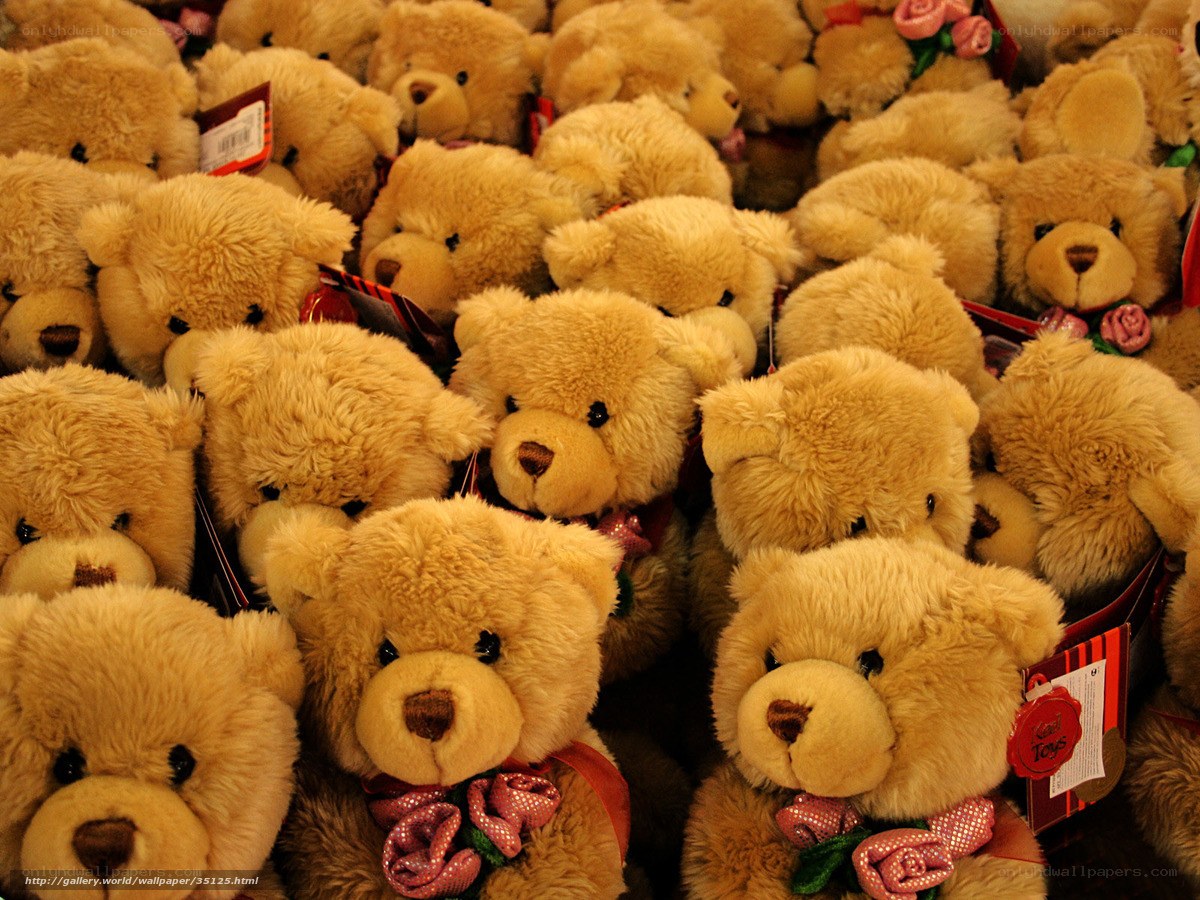 Teddy bears in a display