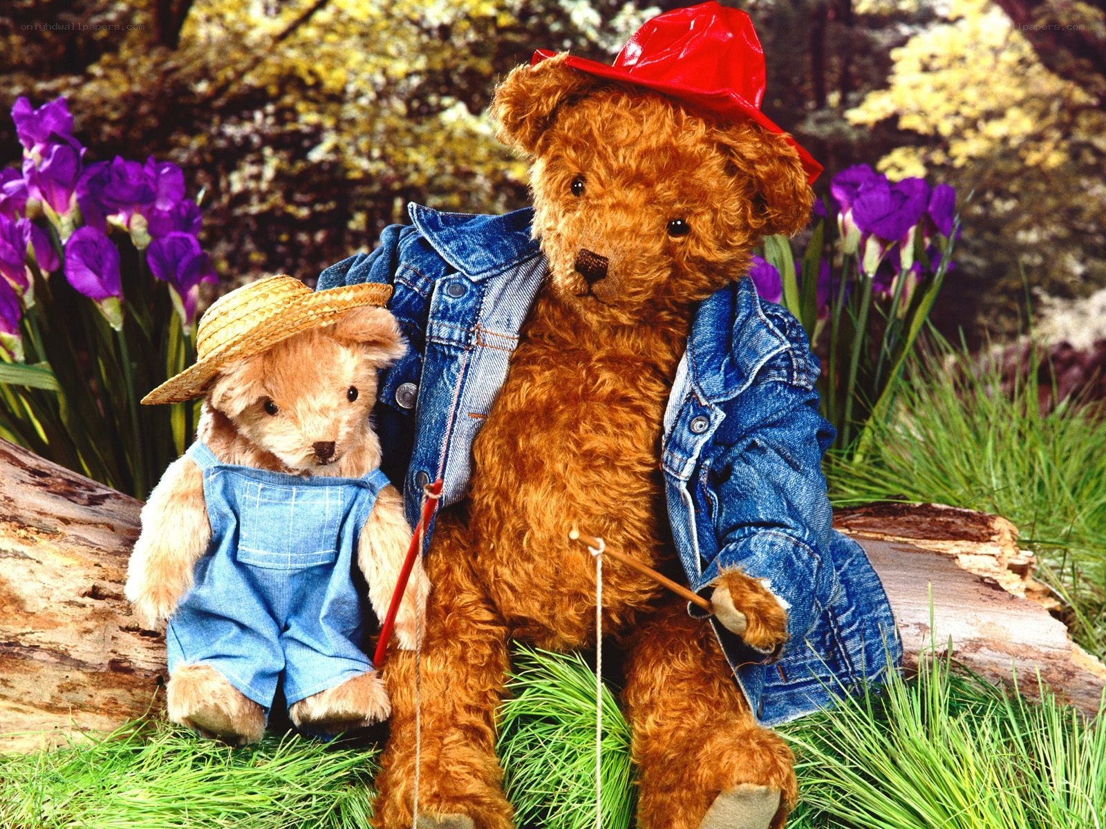 Teddy bears in a garden