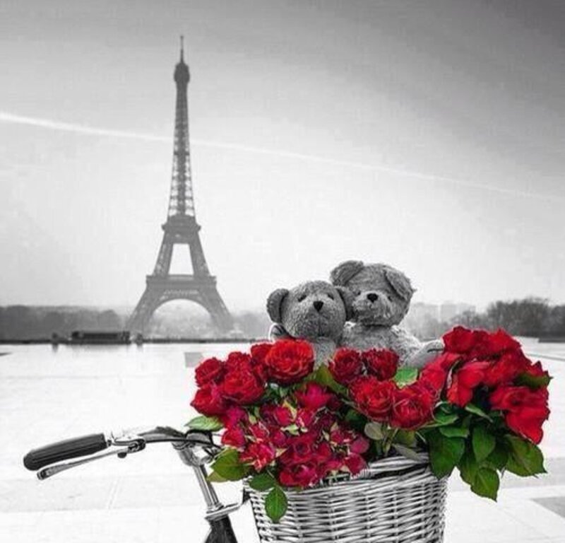 Teddy Bears in Basket