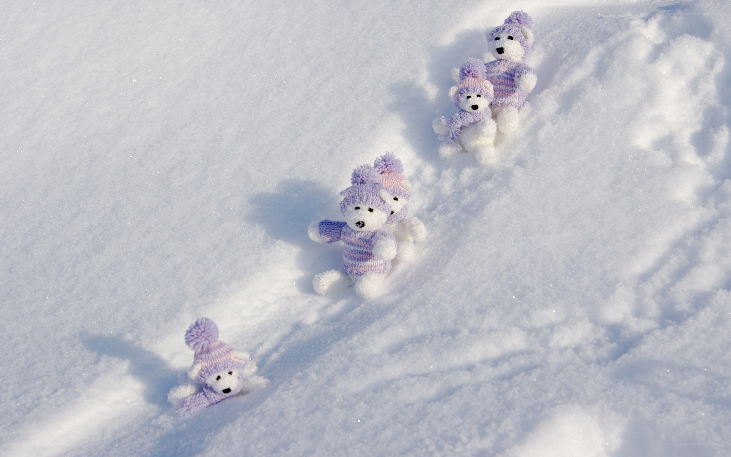 Teddy bears in snow