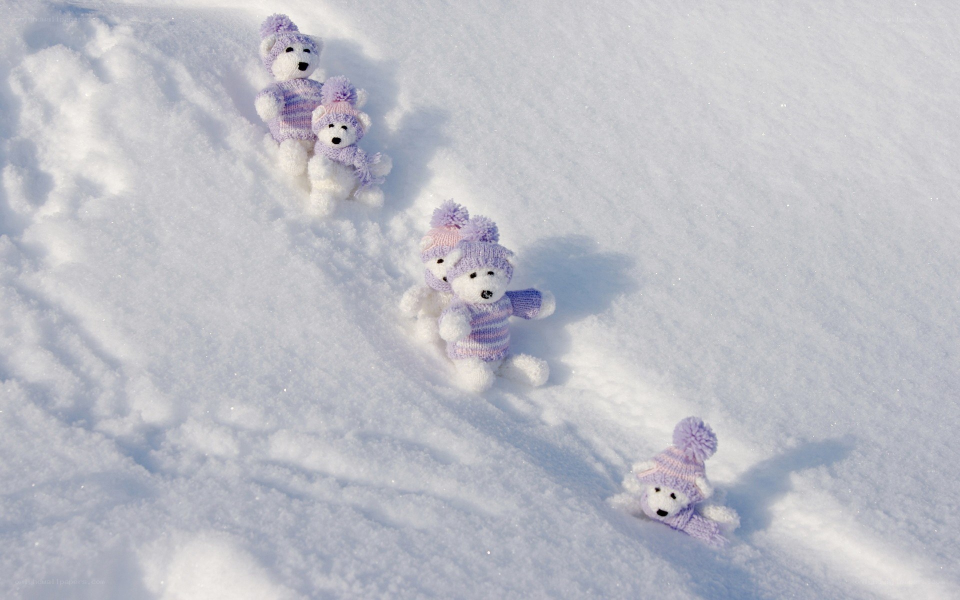 teddy bears in snow
