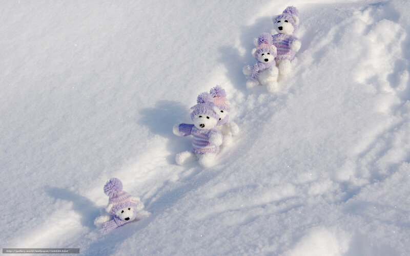 Teddy bears in snow