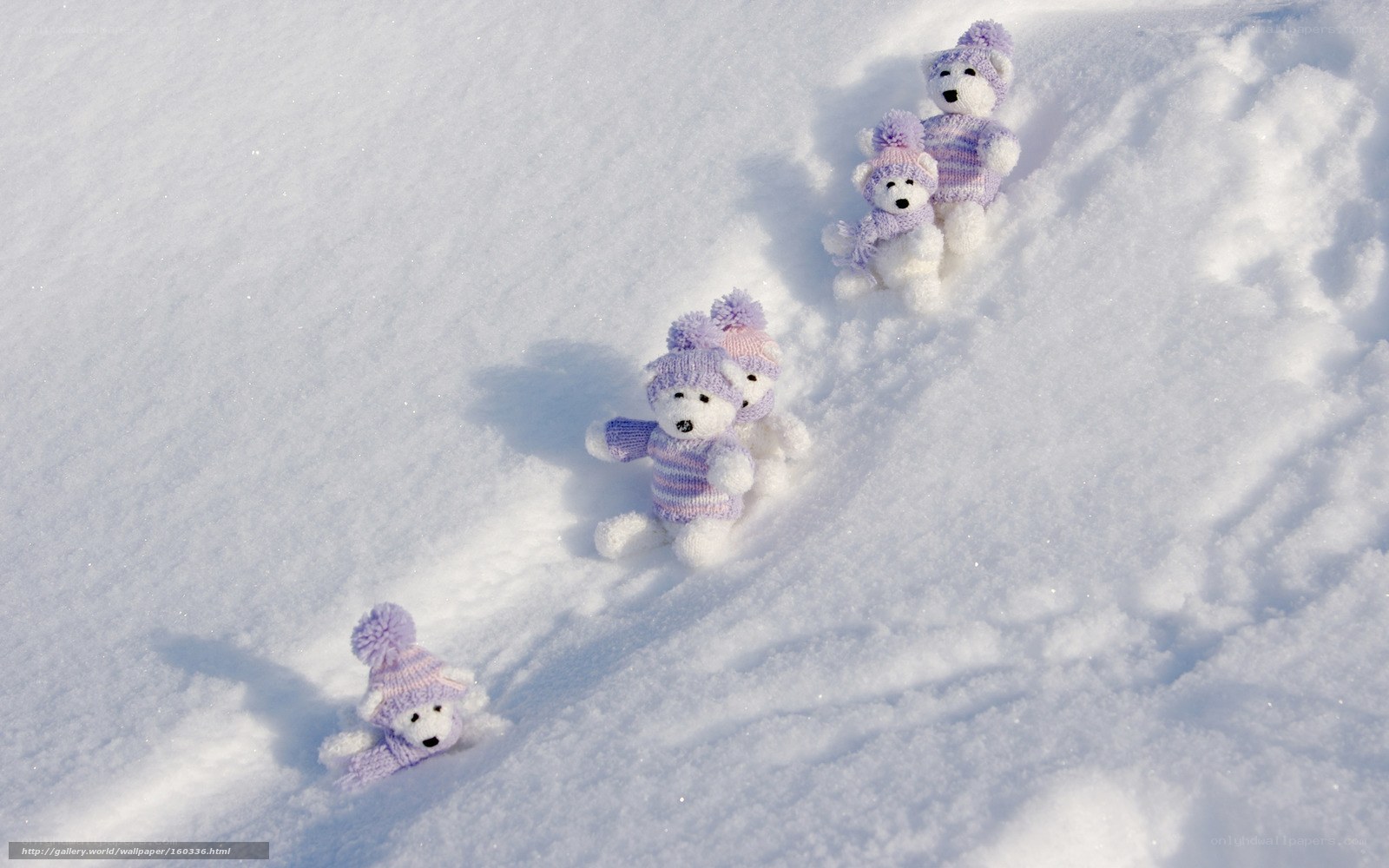 Teddy bears in snow