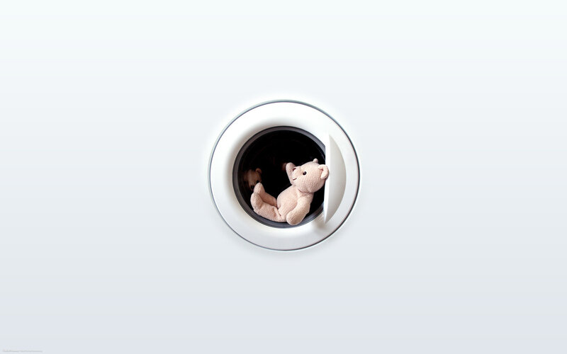 teddy bears in washing machine