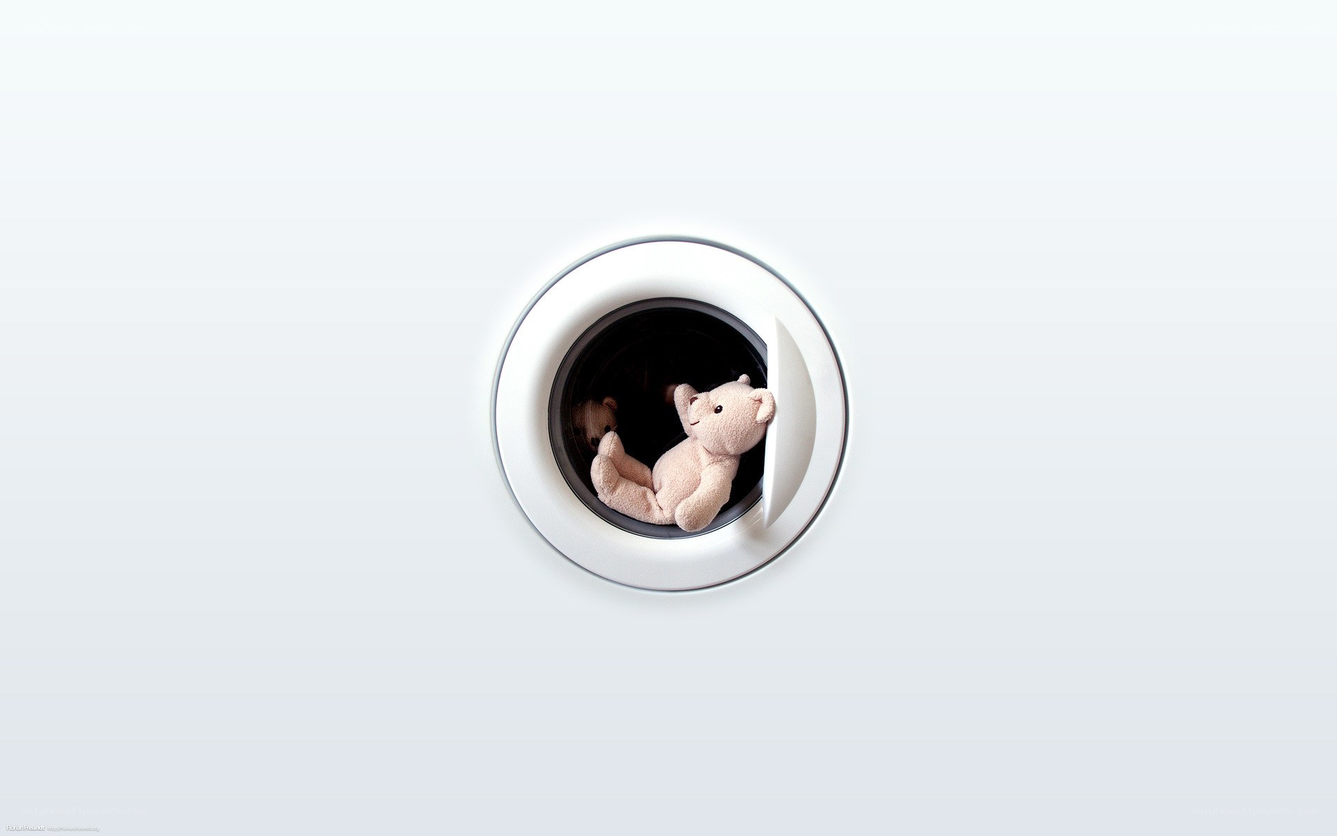 teddy bears in washing machine