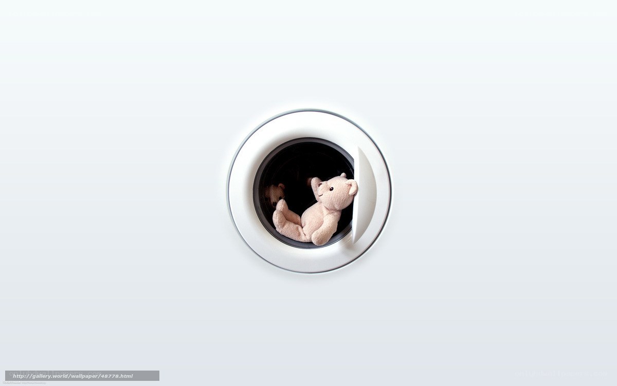 teddy bears in washing machine