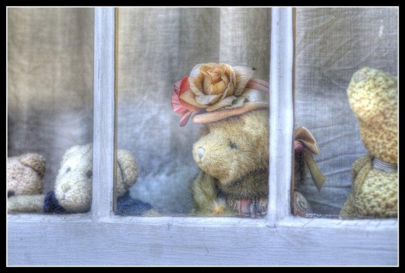 Teddy Bears in Window