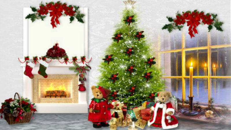 Teddy Bears Near Christmas Tree