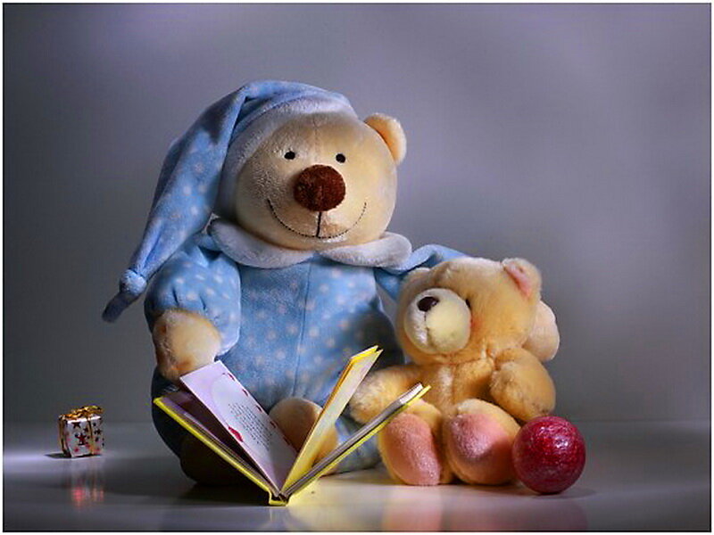 Teddy Bears Reading Book