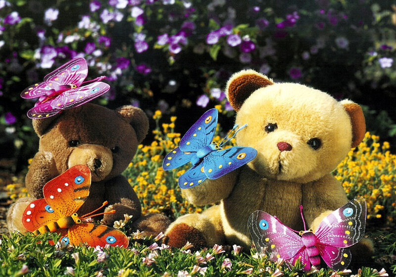 Teddy bears with butterflies