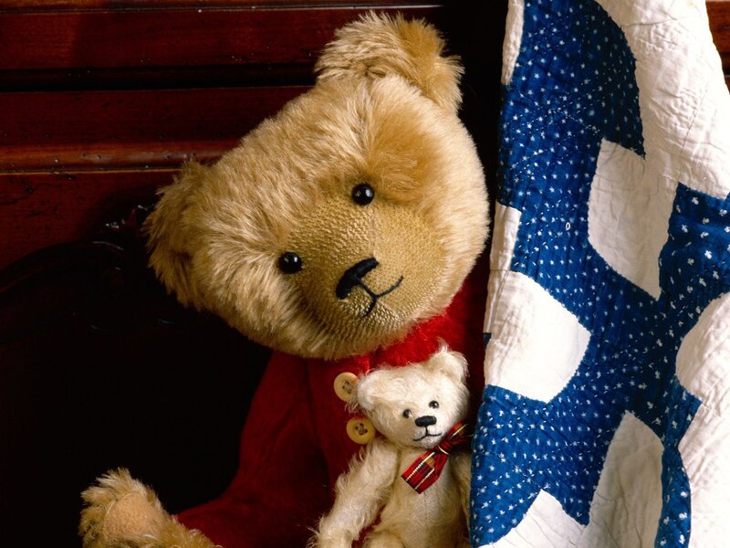 Teddy bears with quilt