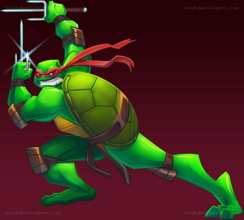 Teenage Mutant Ninja Turtle