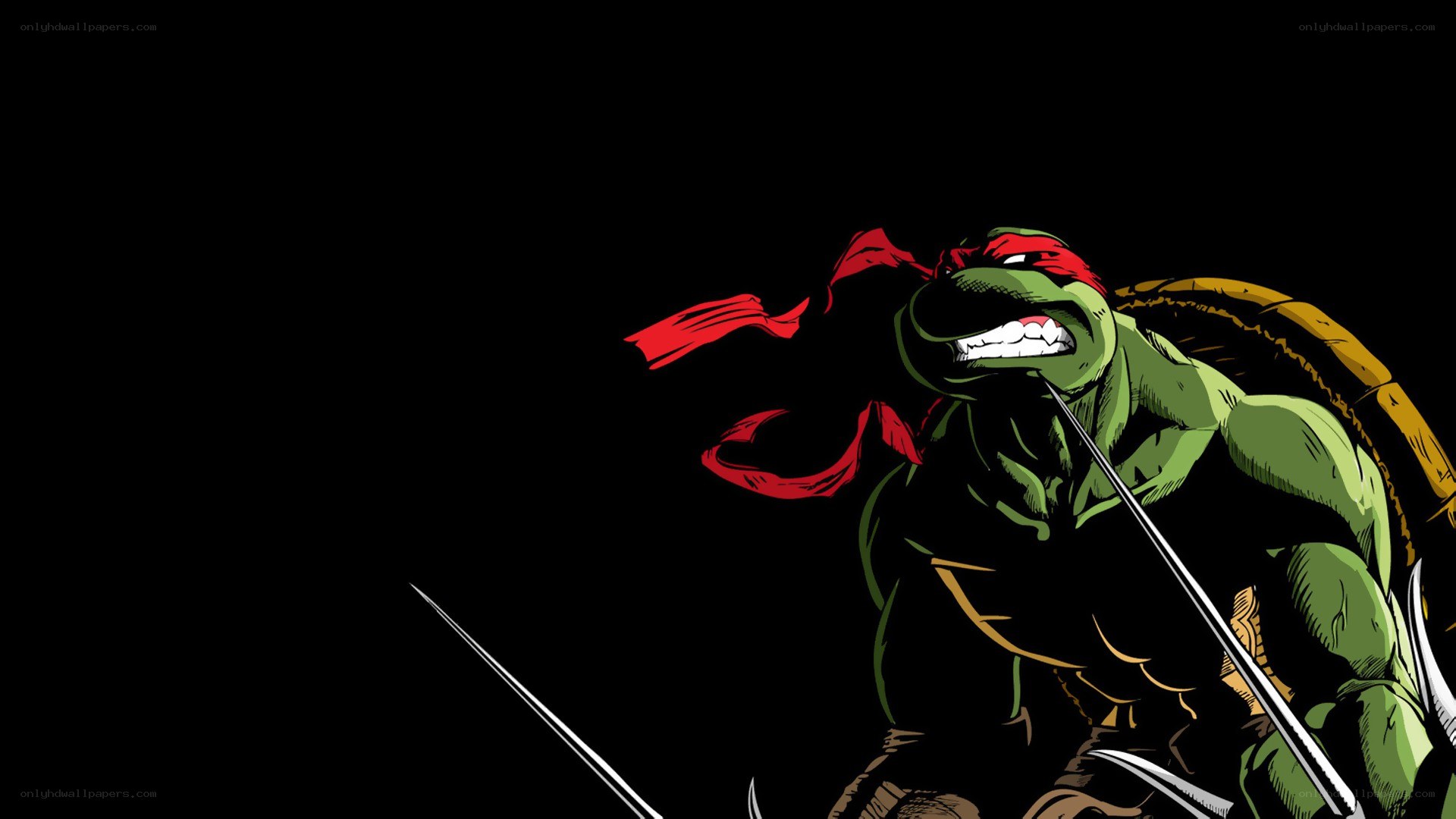 Teenage Mutant Ninja Turtle