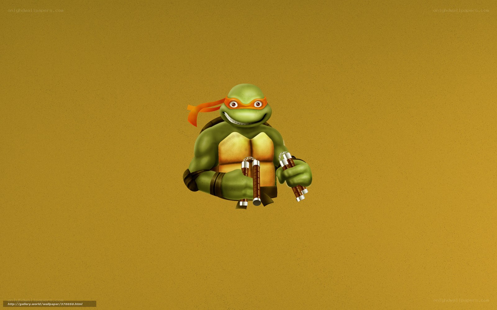 Teenage Mutant Ninja Turtle